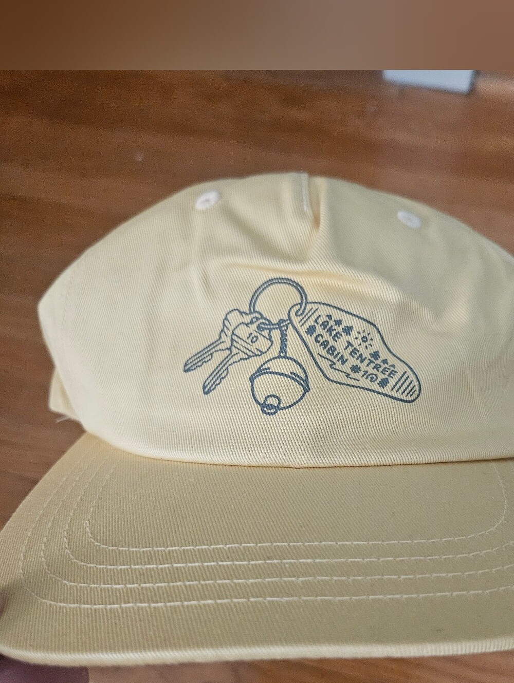 NWT Tentree cap